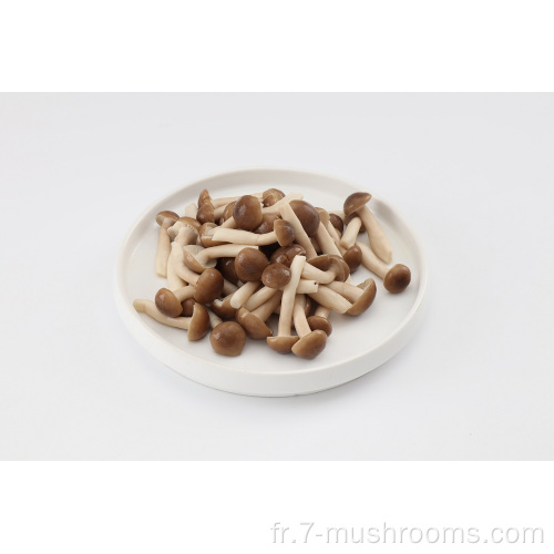 Mushroom de hêtre frais fraîchement congelé-250g